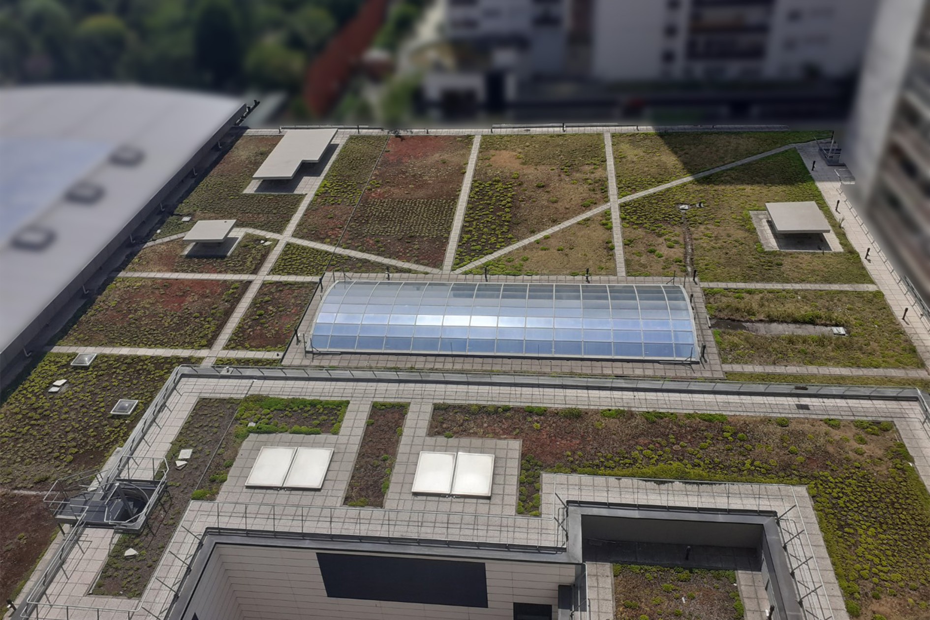 végétalisation des toitures terrasses