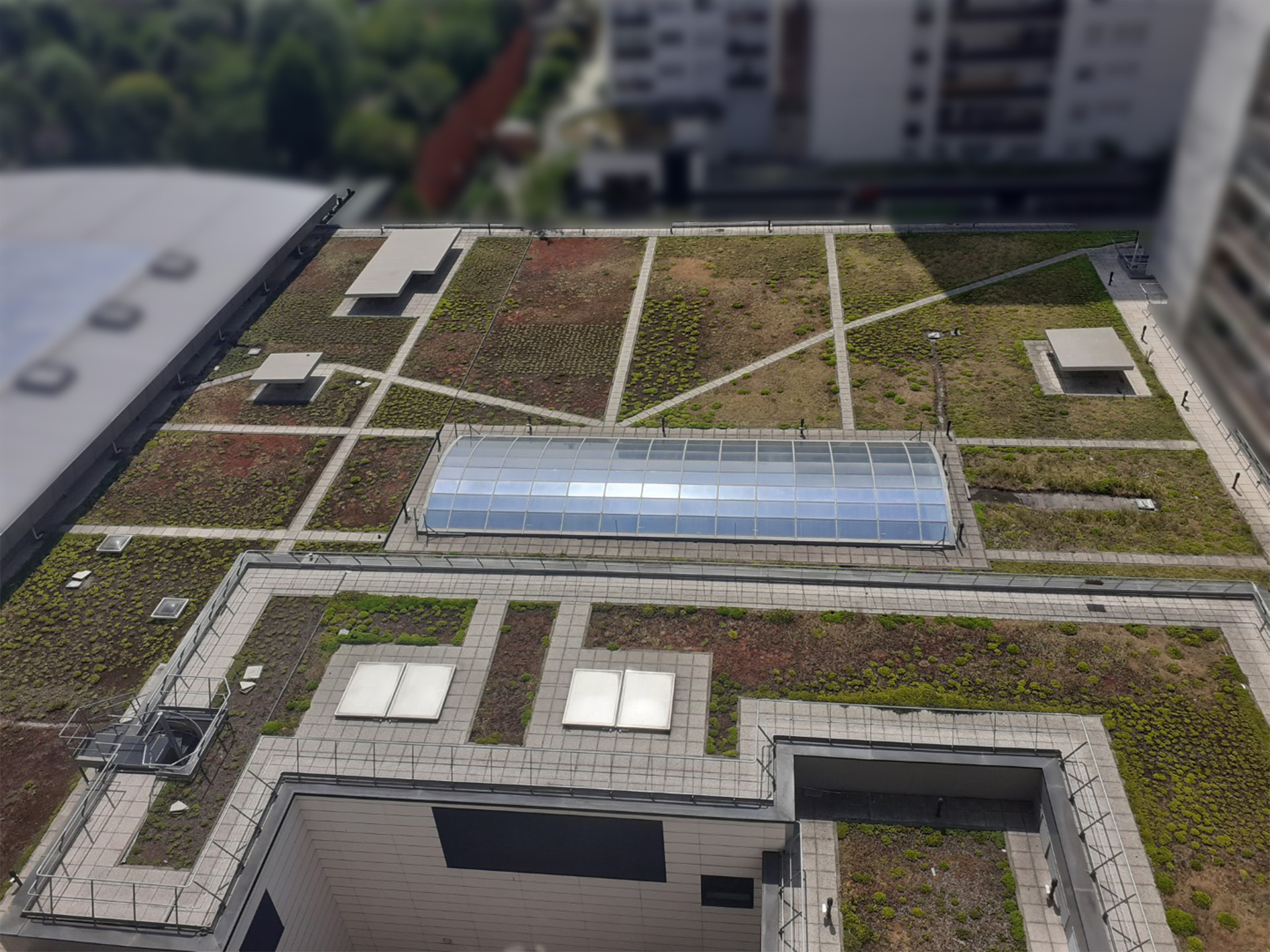 végétalisation des toitures terrasses