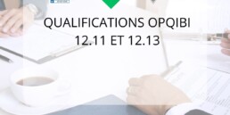 Qualifications OPQIBI