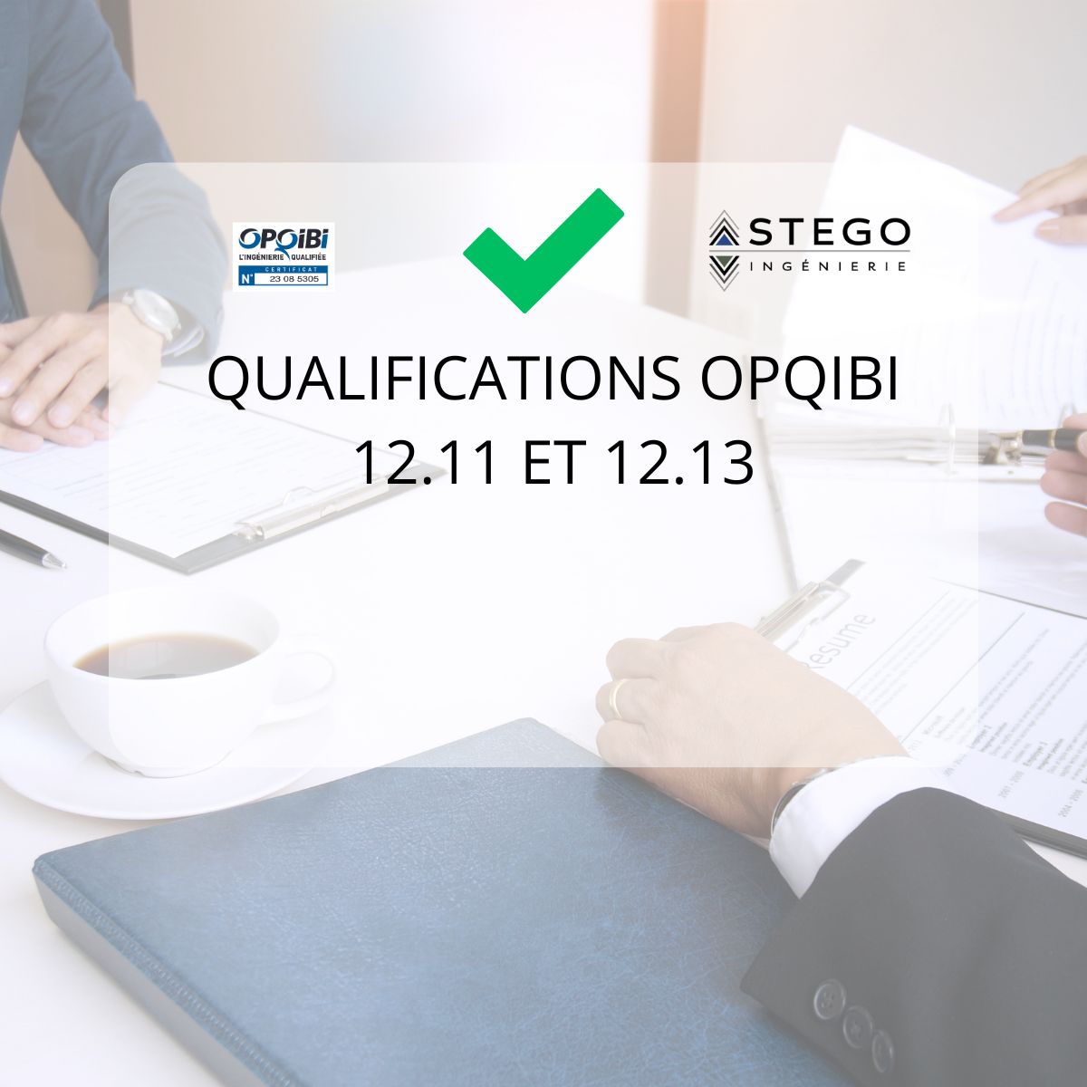 Qualifications OPQIBI
