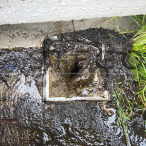 Concrétion de calcaire sur une entrée d’eau pluviale.