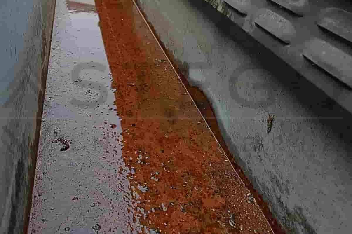 chêneaux métalliques